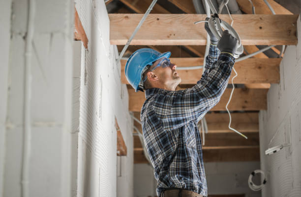 Best Electric Panel Repair  in Newport, KY